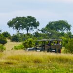 SAFARI IN SOUTH AFRICA