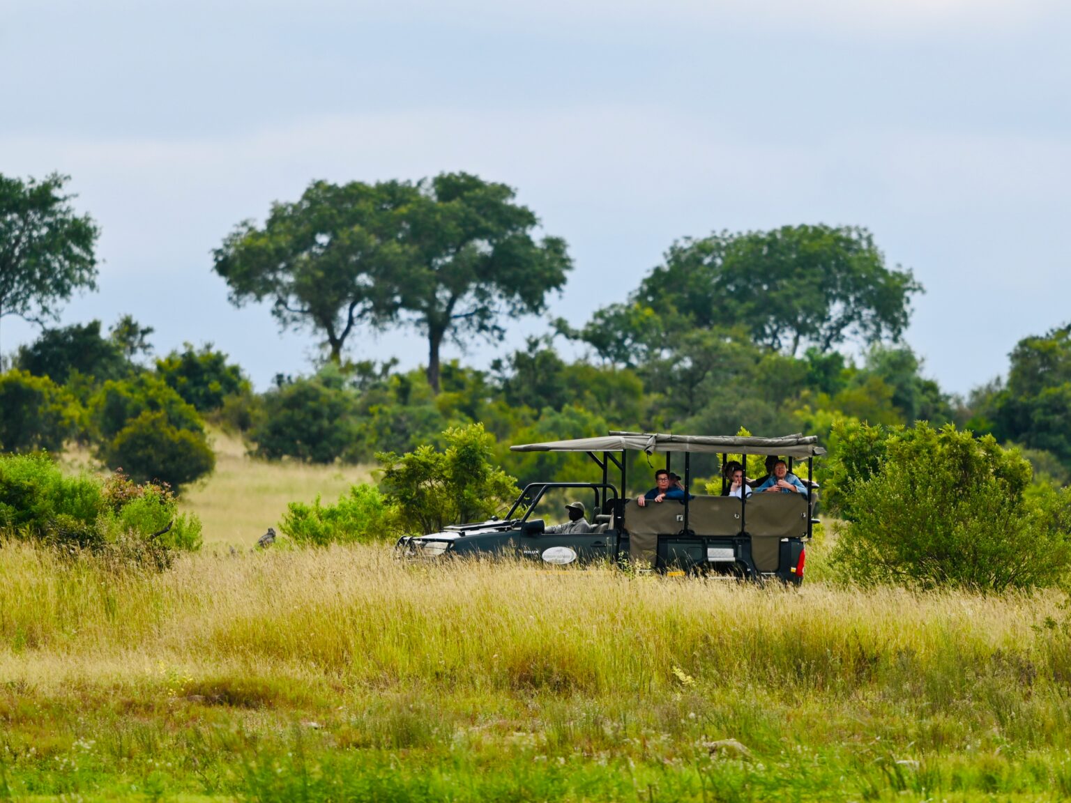 SAFARI IN SOUTH AFRICA