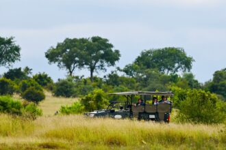 SAFARI IN SOUTH AFRICA