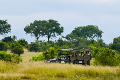 SAFARI IN SOUTH AFRICA