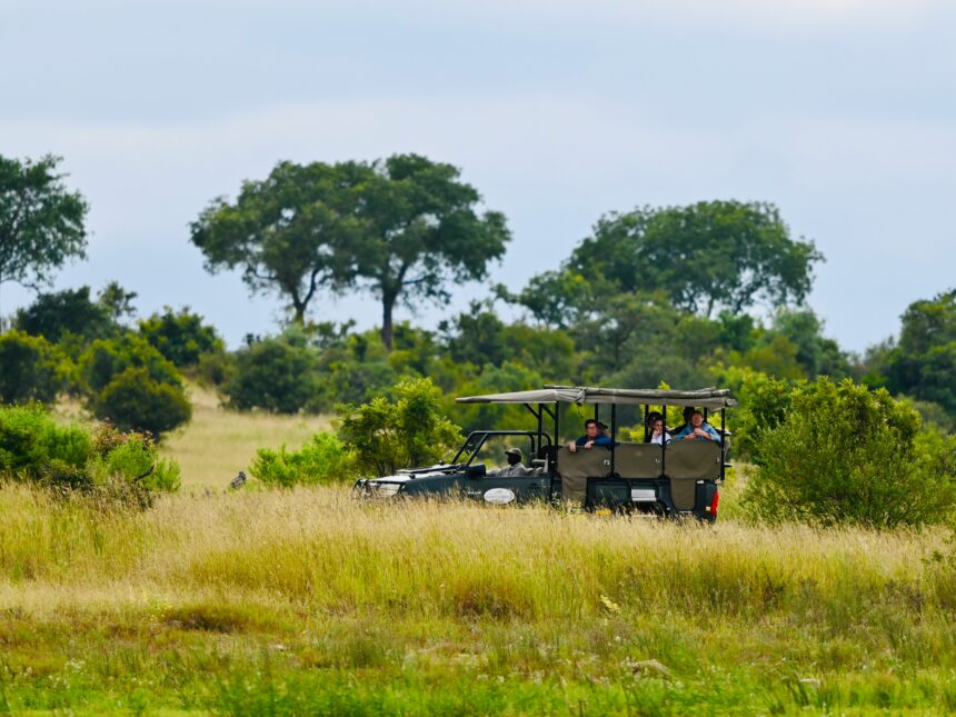 SAFARI IN SOUTH AFRICA