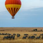 MASAI MARA SAFARI