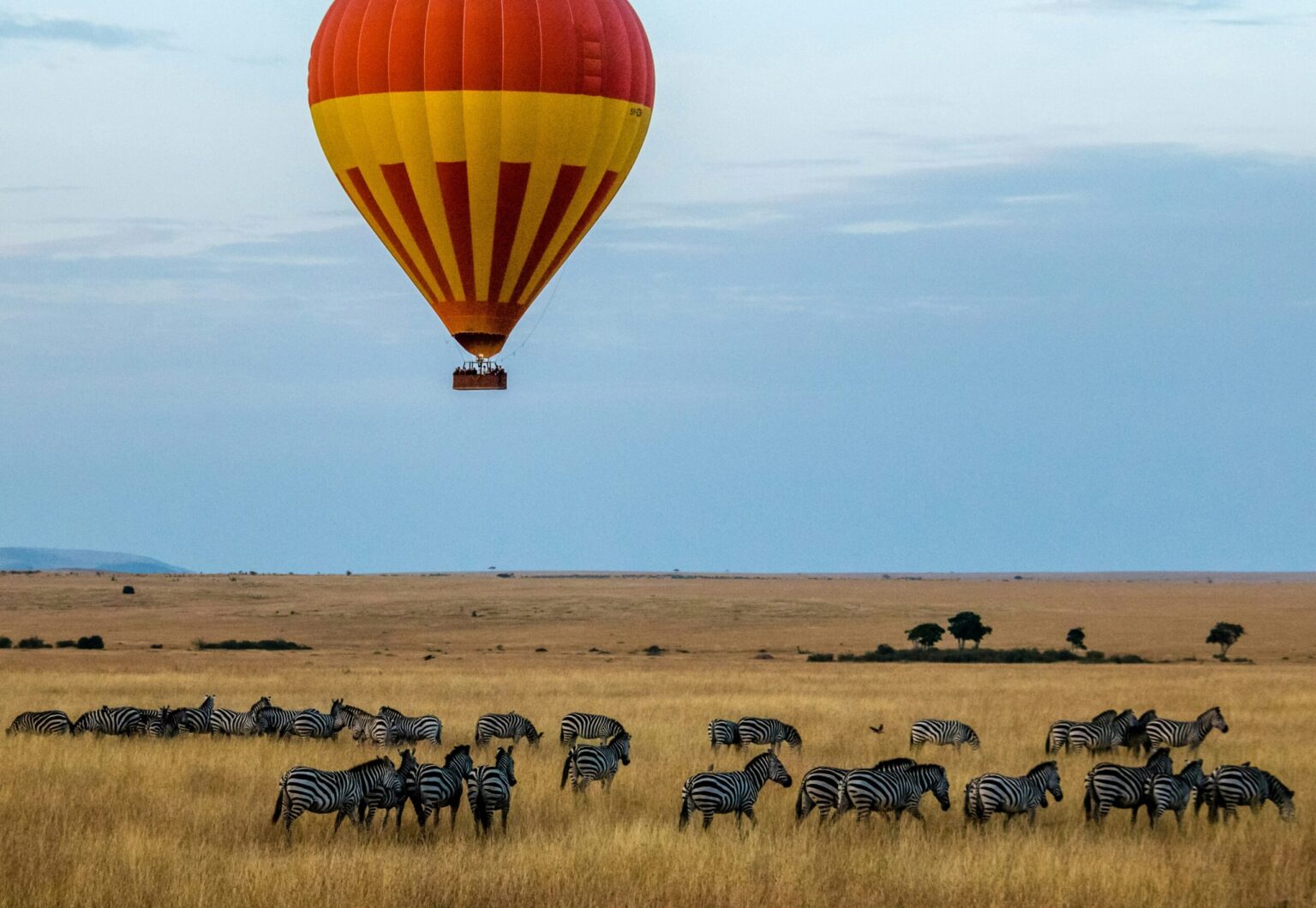 MASAI MARA SAFARI