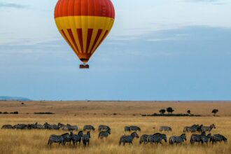 MASAI MARA SAFARI
