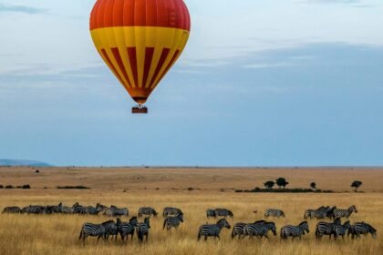 MASAI MARA SAFARI