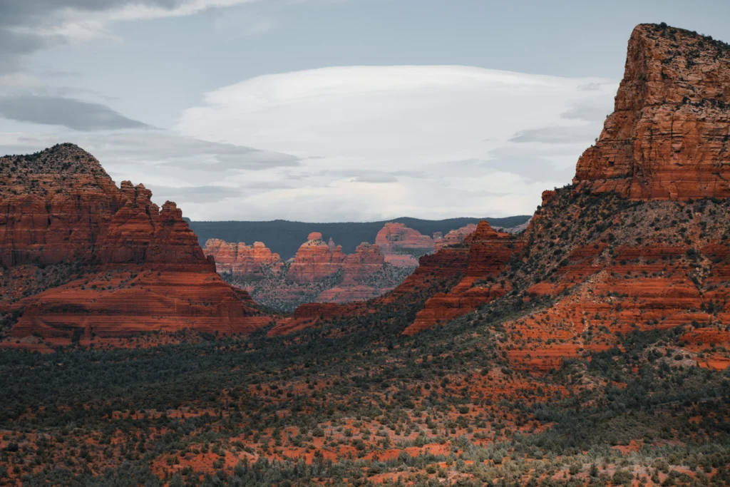 Arizona