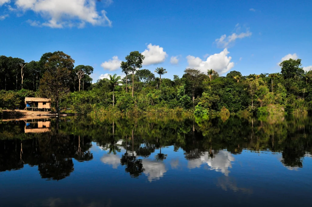 amazon river brazil
