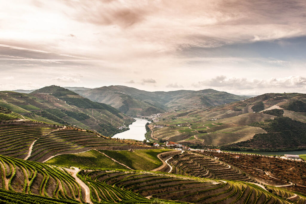 Duoro Valley- Home of the Port Wine