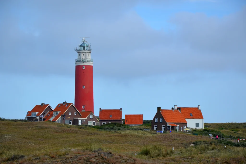 Texel