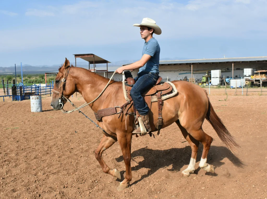Horseback riding