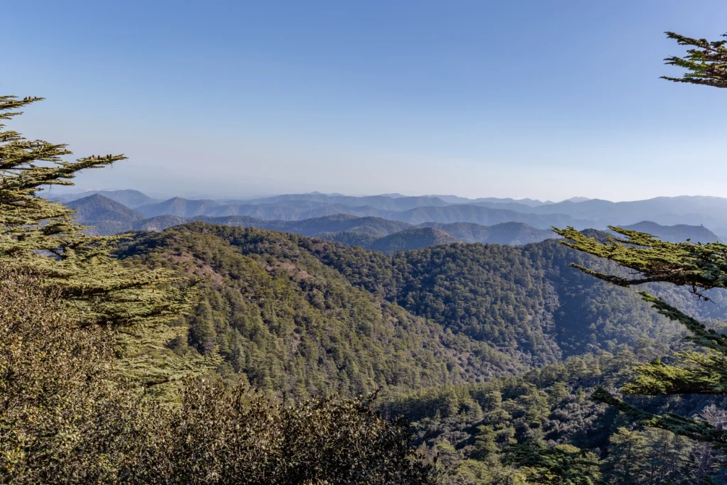 Troodos Mountains