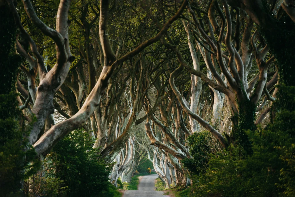 Northern Ireland game of thrones