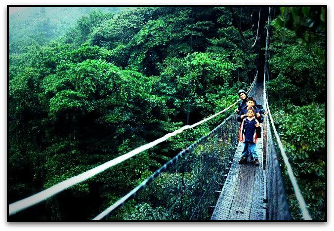 Hanging Bridge- Monteverde