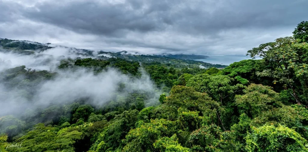 Monteverde, Costa Rica