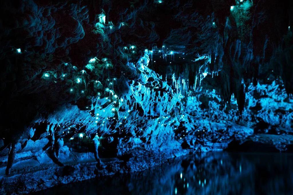 Glowworm Caves of Waitomo