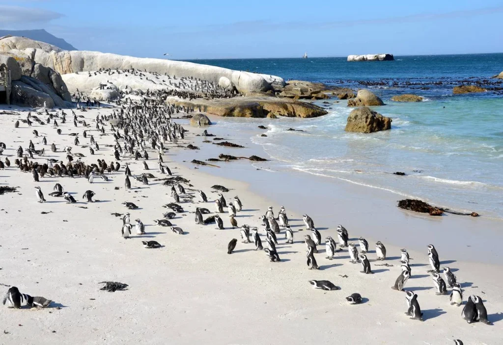 Cape Town, South Africa