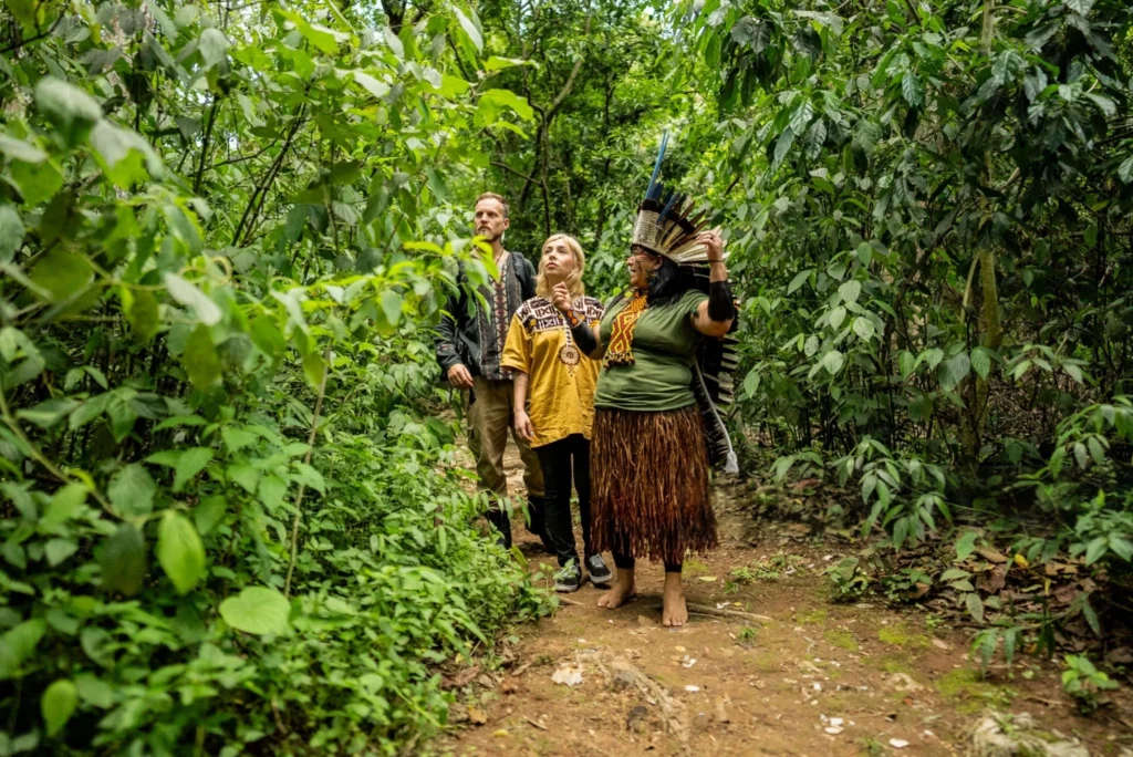 jungle pharmacy tours guided by locals