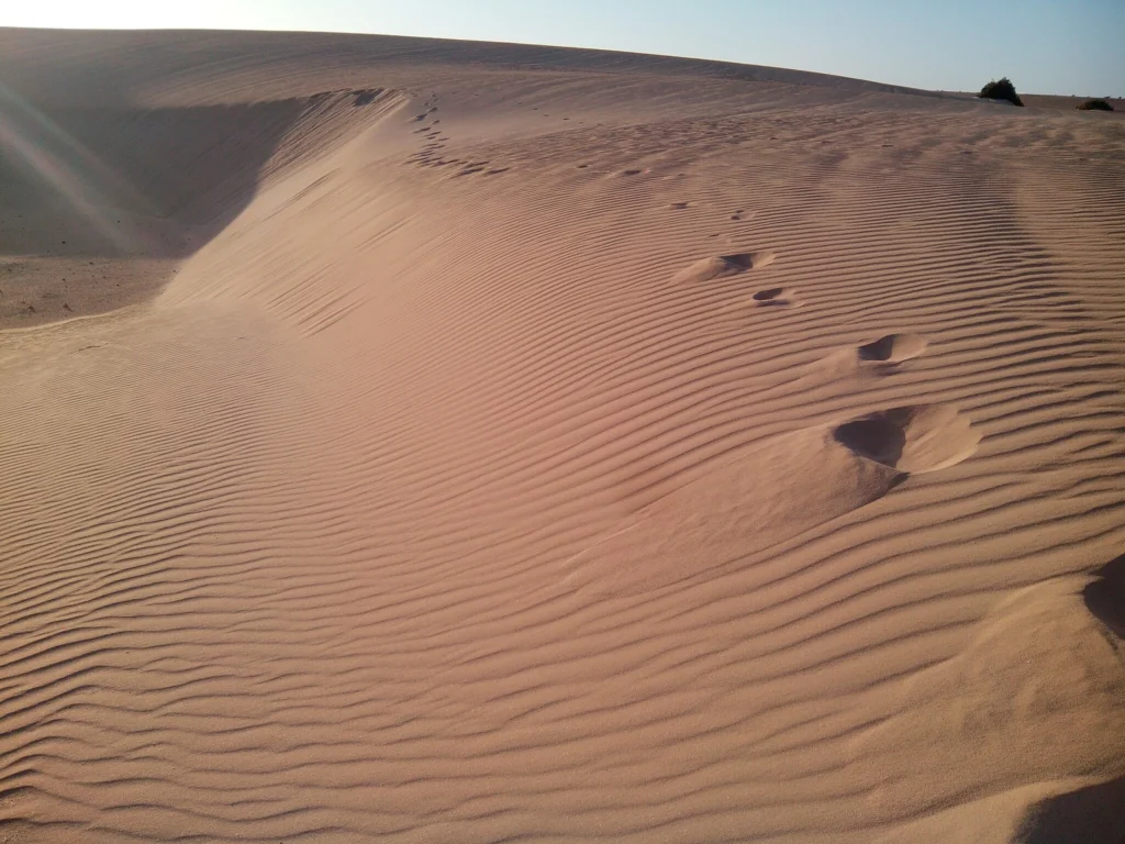 Photo: Wikimedia Commons
Corralejo Dunes