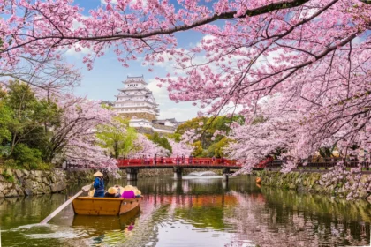 Japan cherry blossom forecast 2026