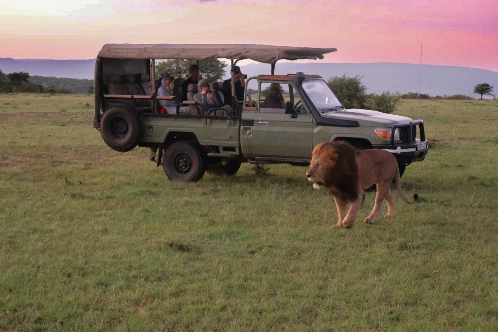 South Africa Wildlife Safari- Honeymoon Destinations