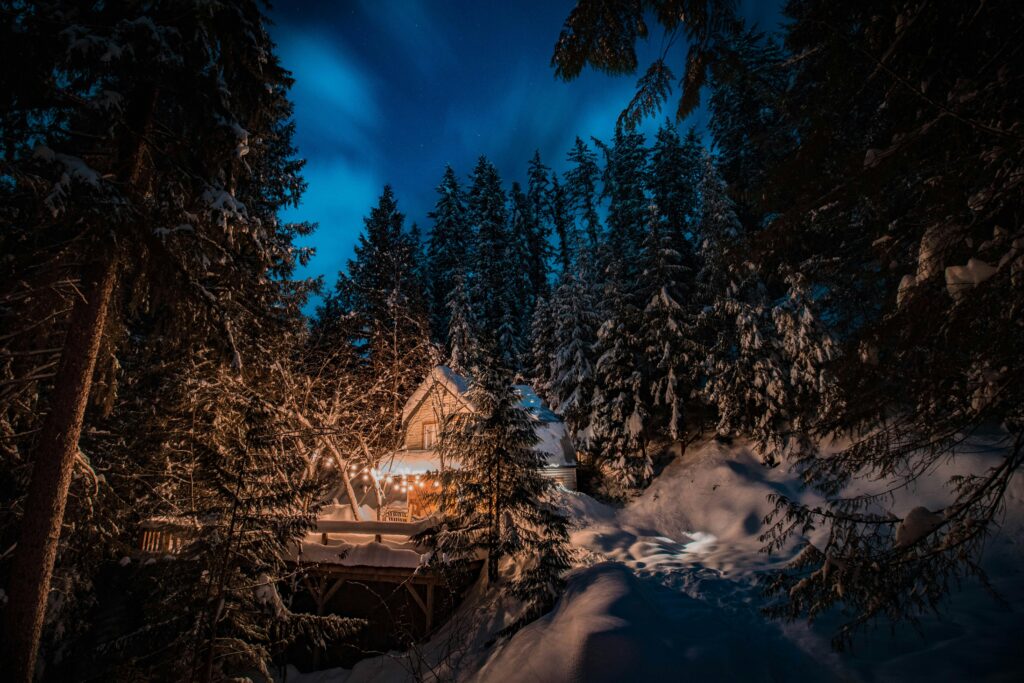 Luxury Arctic Treehouse