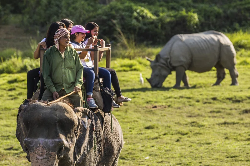 Kaziranga, Assam.