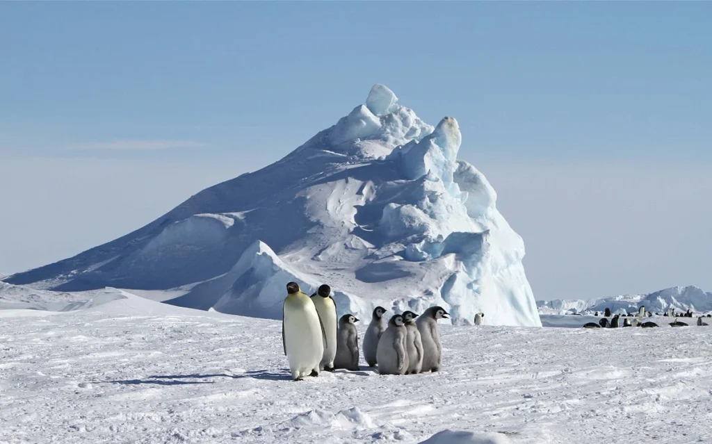 SNOW HILL ISLAND- ANTARTICA