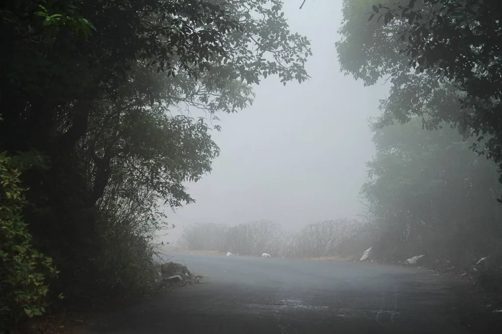 Bhimashankar in monsoon
