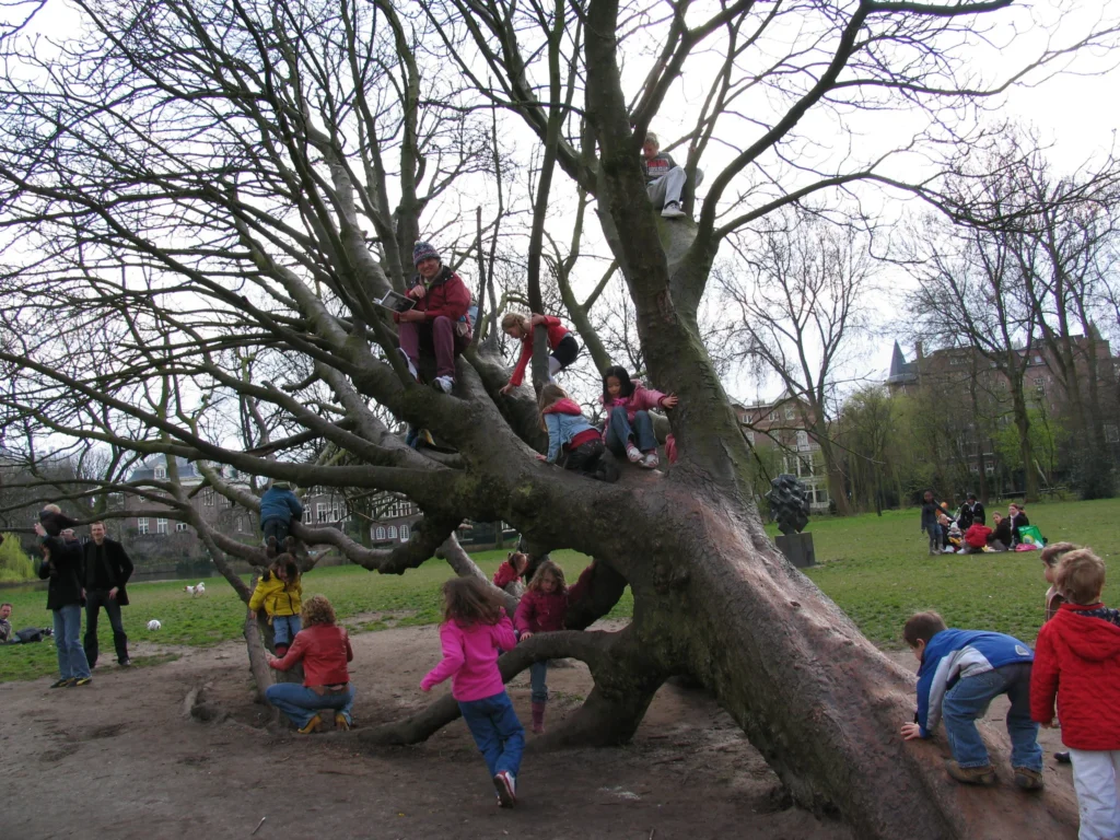 Photo : Antony Antony | Flickr | Children learning tree climbing