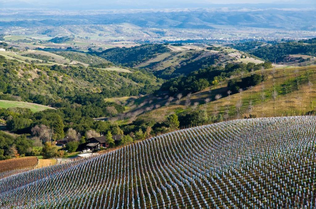 Paso Robles