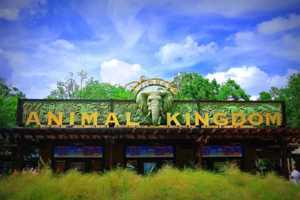 Animal Kingdom