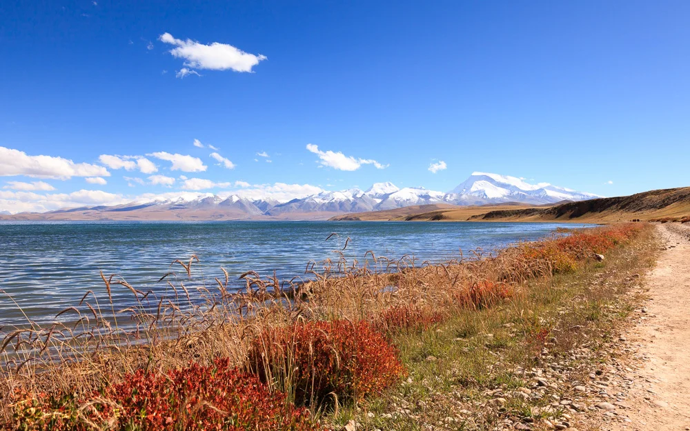 Lake Mansarovar 