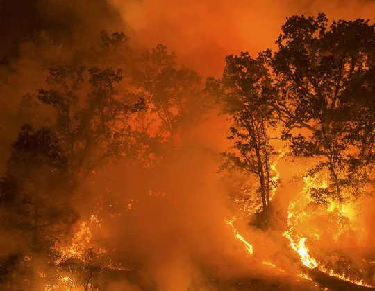 Wildfires