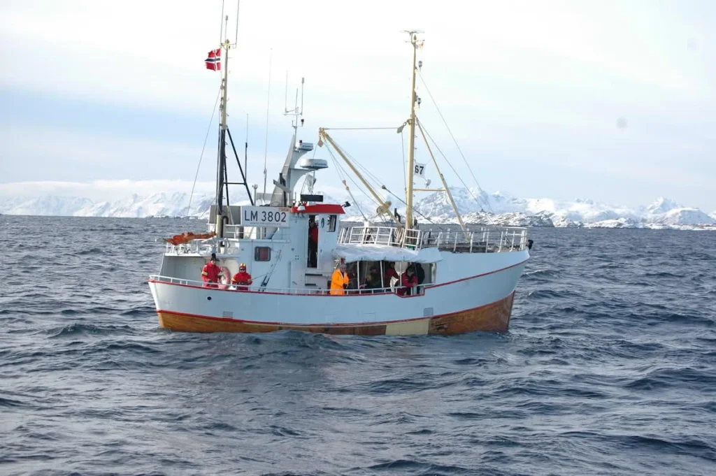 Arctic Cod Fishing