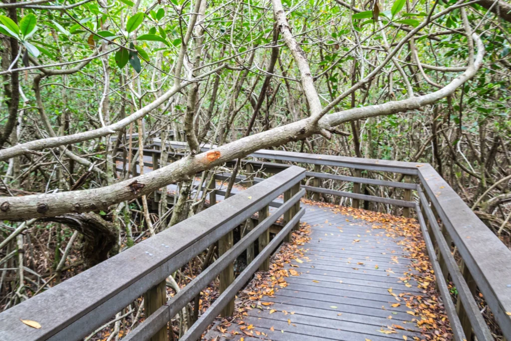 Everglades park
