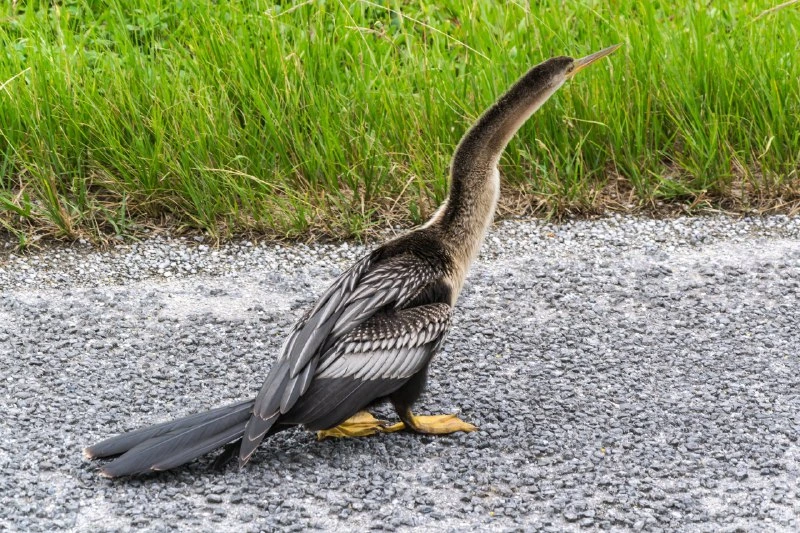 Everglades National Park