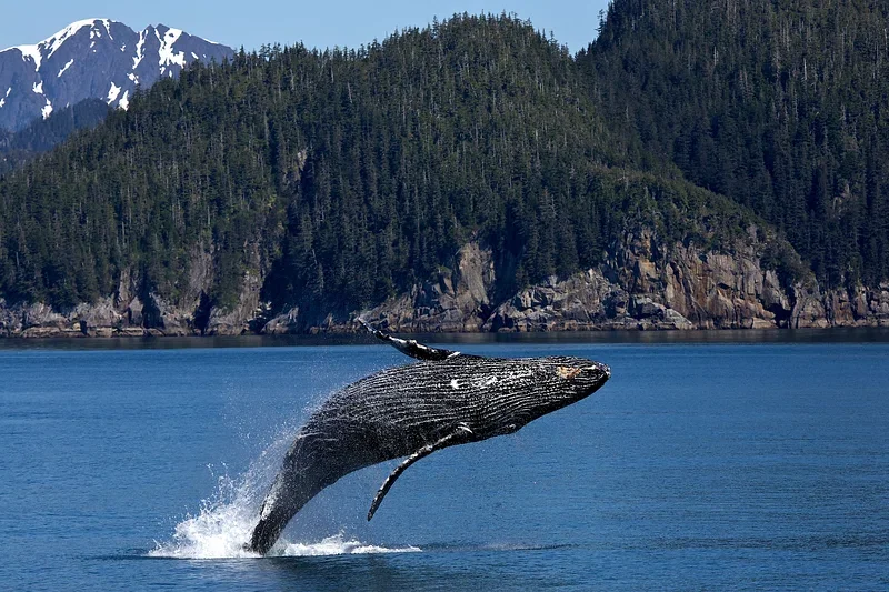 Kaikoura, New Zealand