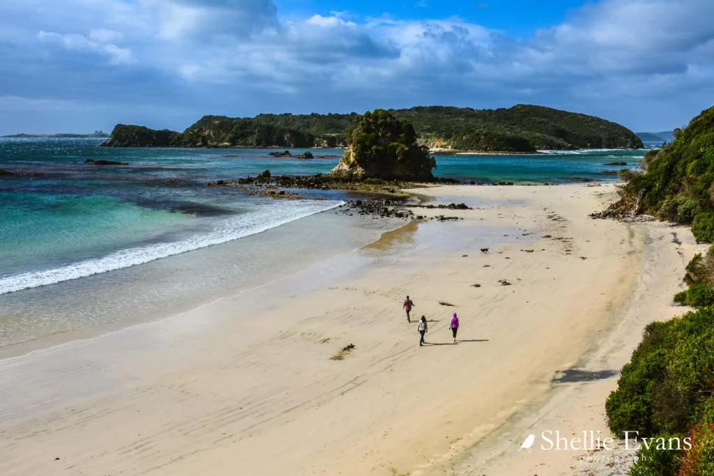 Stewart Island, New Zealand