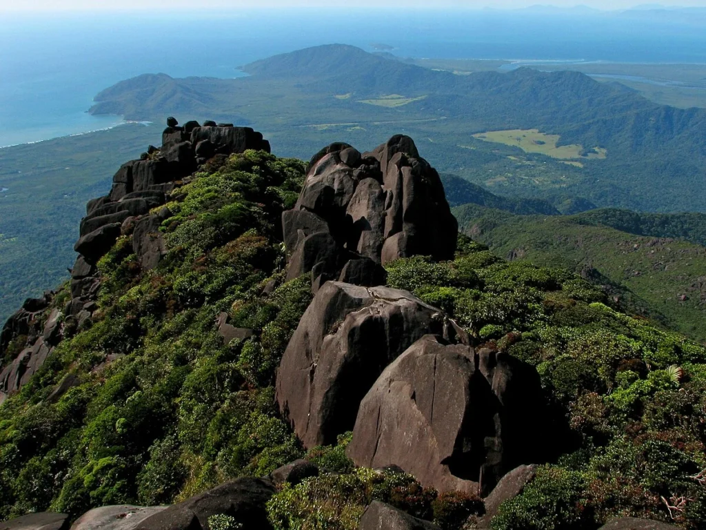 Thornton_Peak,_Daintree_National_Park