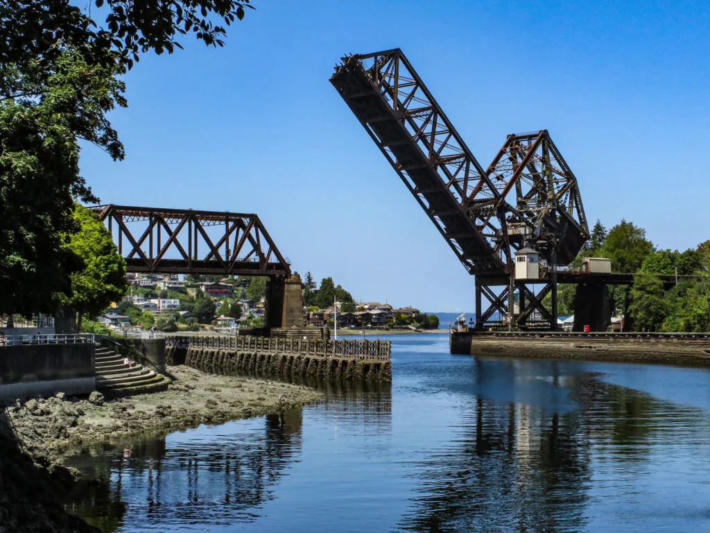 Ballard Locks and Fish Ladder