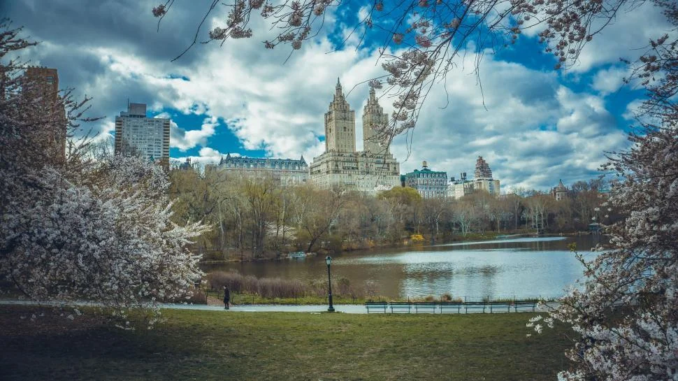 Central Park, New york city