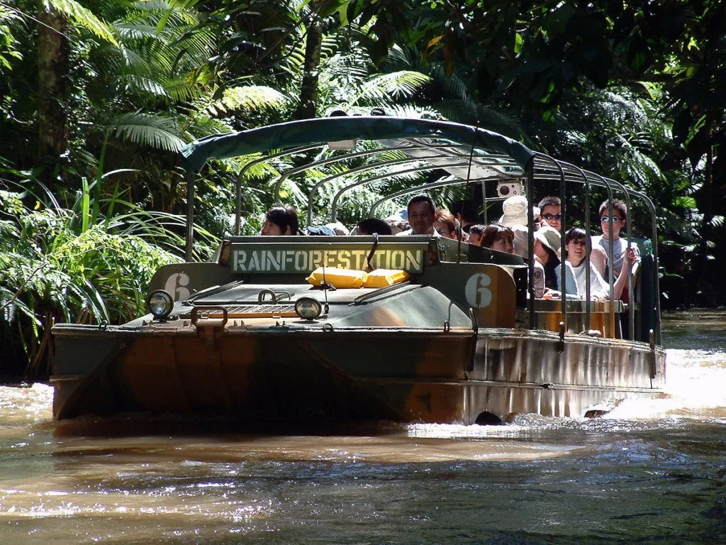 Daintree Rainforest