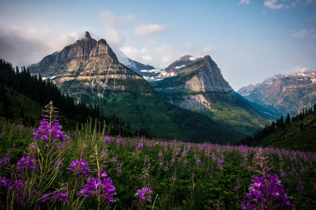 Glacier national park