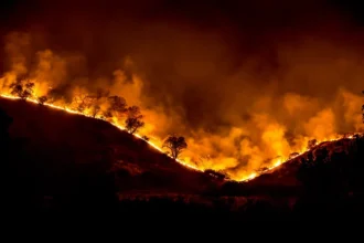 Greece wildfires