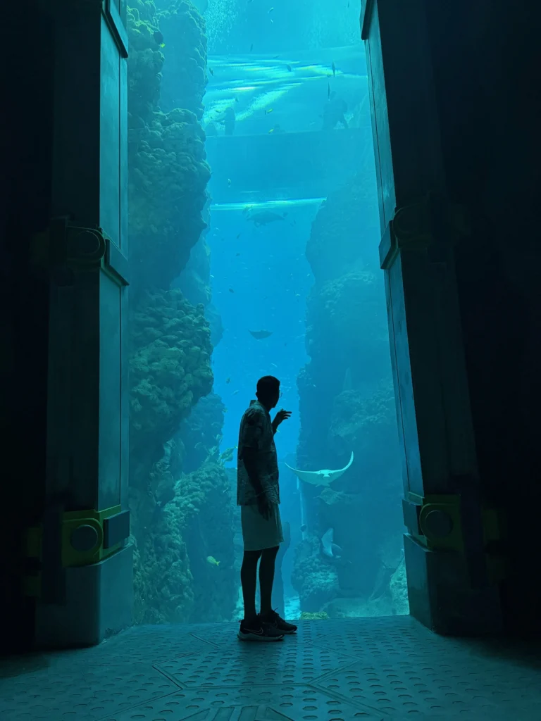 Seaworld endless ocean viewing window