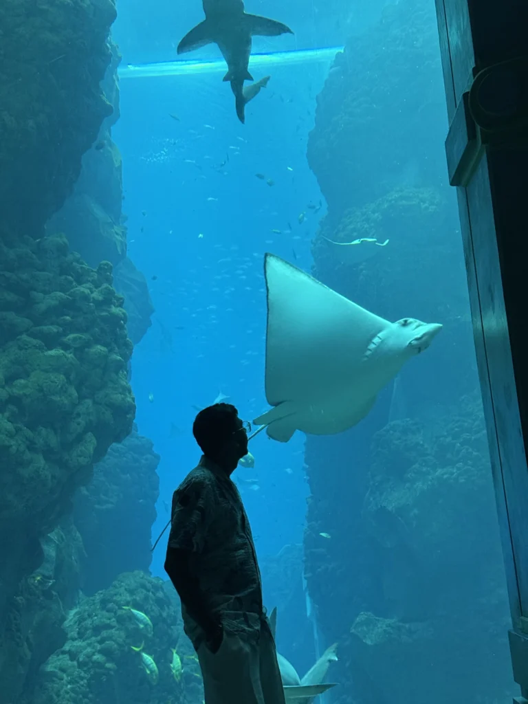 Endless ocean viewing window