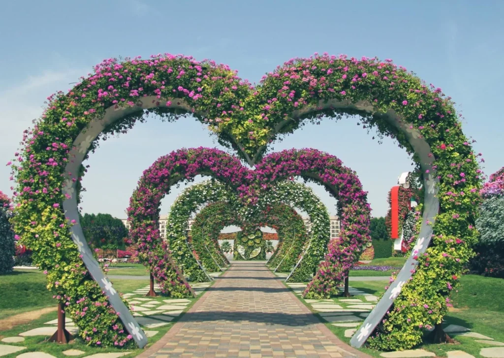 Miracle garden