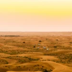 Dubai Desert Safari