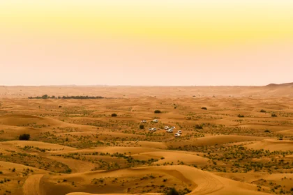 Dubai Desert Safari