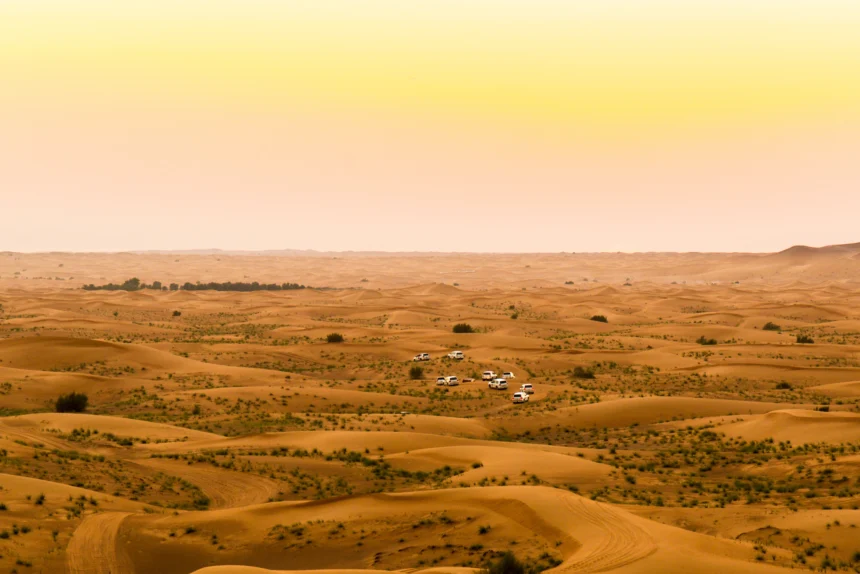 Dubai Desert Safari